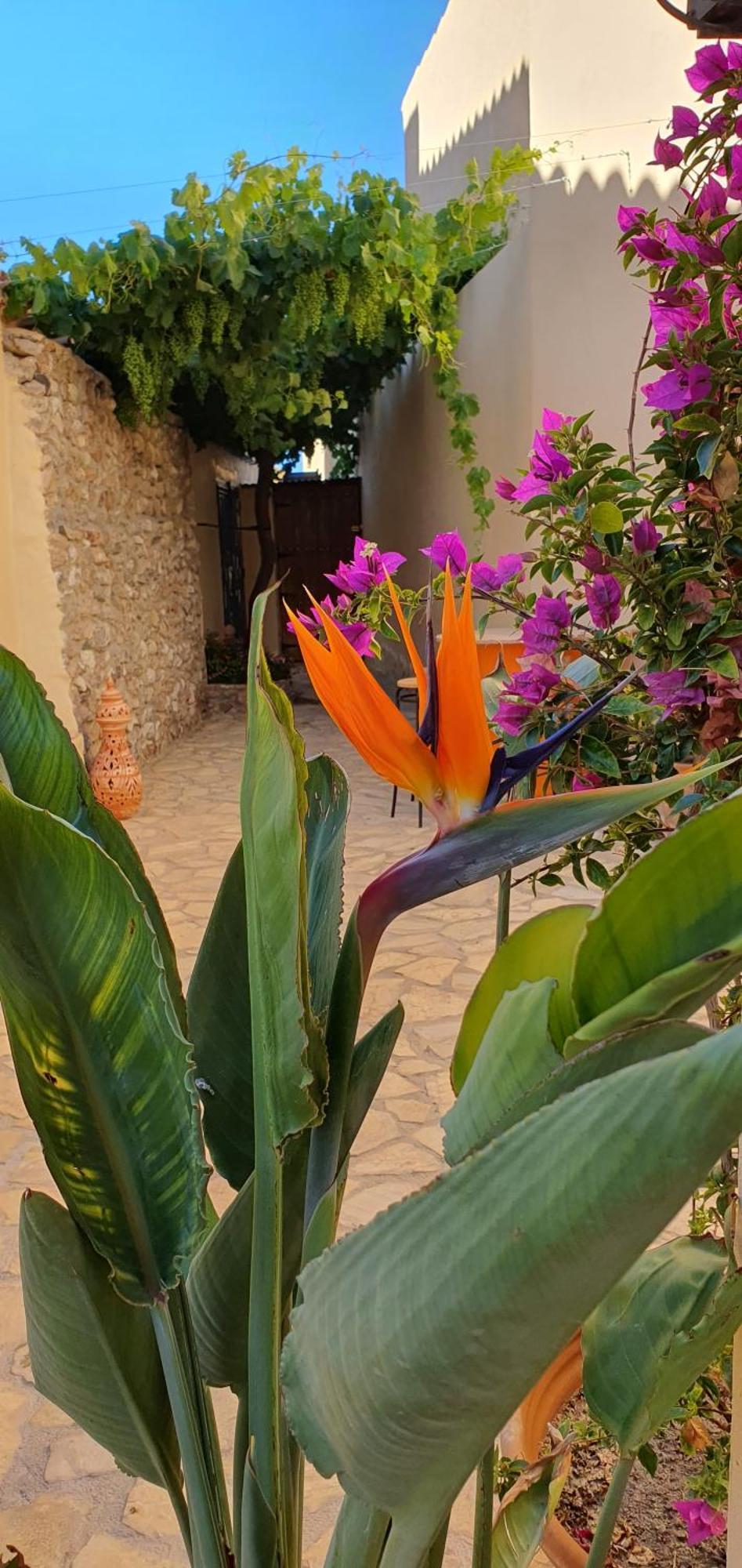 El Jardin Secreto Apartment Oria Bagian luar foto